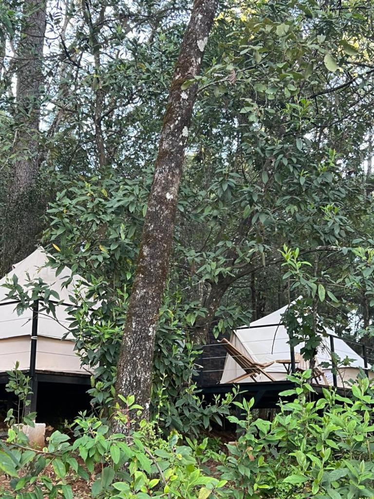 Hotel Oxu Solo Adultos Valle de Bravo Εξωτερικό φωτογραφία